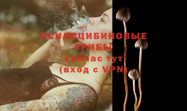 герыч Елизово