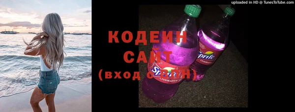 соль ск Вяземский
