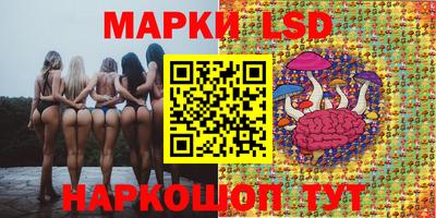 марки nbome Гусев