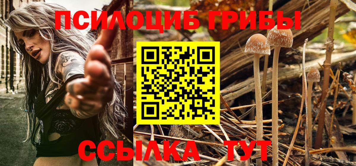 Галлюциногенные грибы GOLDEN TEACHER Миллерово