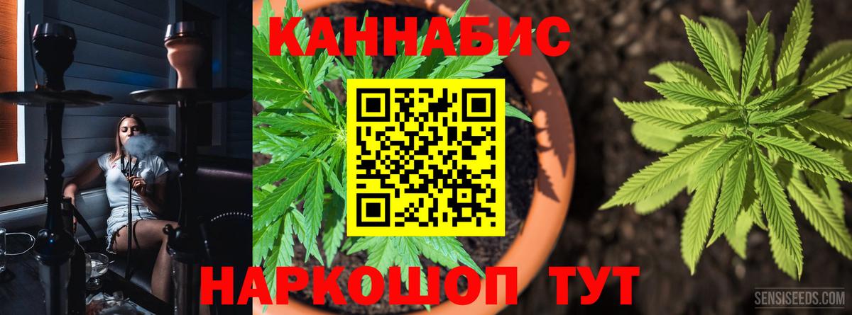 Канабис конопля Миллерово